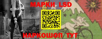 амф Гусев