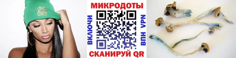 Псилоцибиновые грибы Magic Shrooms  blacksprut зеркало  даркнет официальный сайт  Майкоп 